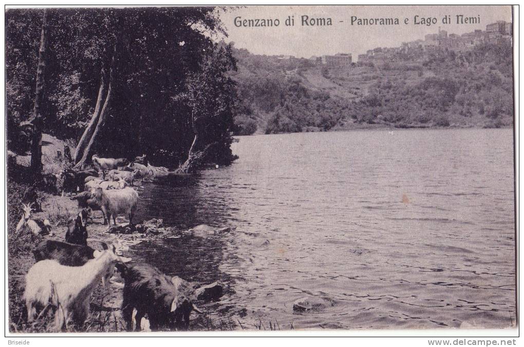 GENZANO ROMA PANORAMA E LAGO DI NEMI  F/P VIAGGIATA 1924 - Altri & Non Classificati