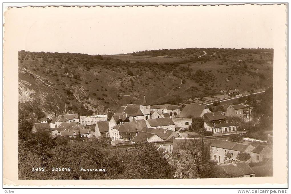 Sosoye Panorama Mosa N°2985 - Anhée