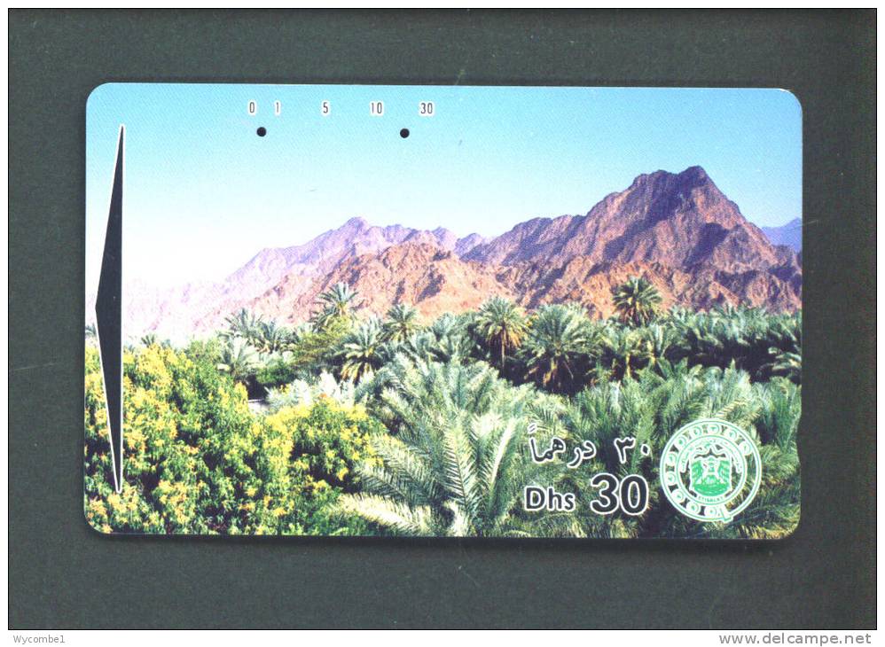 UNITED ARAB EMIRATES  -  Magnetic Phonecard As Scan - Emiratos Arábes Unidos