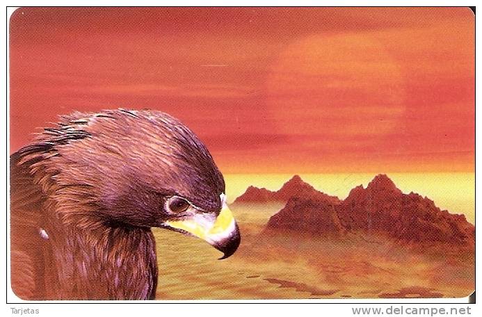 TARJETA DE KAZAKISTAN DE UN AGUILA (BIRD-PAJARO-EAGLE) - Águilas & Aves De Presa