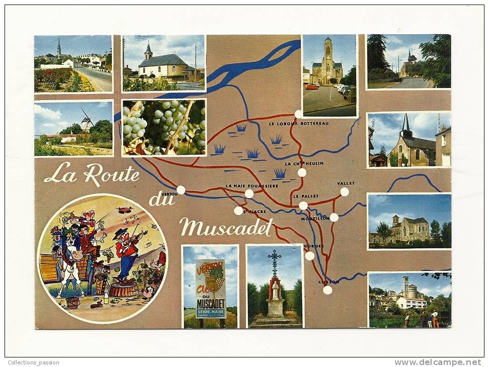 Cp, Carte Géographique, Le Circuit Touristique Du Vignoble Nantais, Multi-Vues, Voyagée 1981 - Carte Geografiche