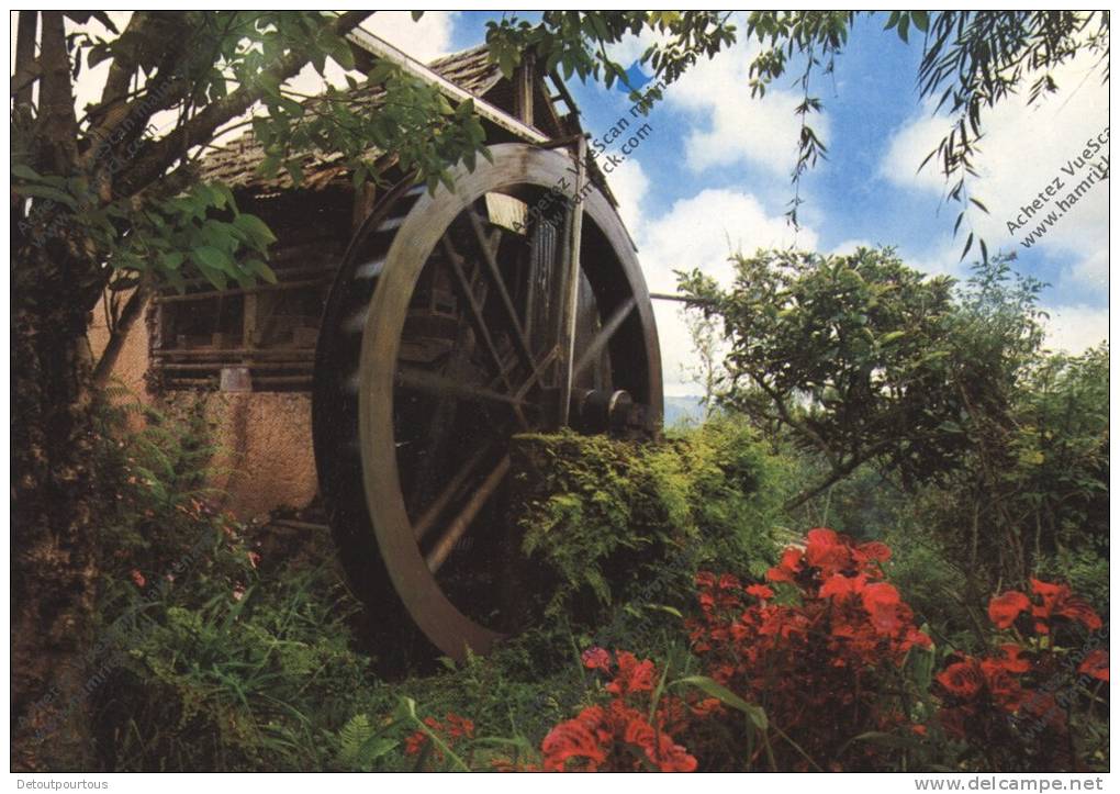 VENEZUELA COLONIA TOVAR : Antiguo Molino De Agua  Old Watermill Moulin à Eau Wasser Mühle - Venezuela
