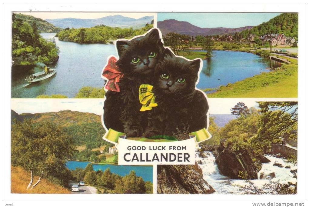 Callander - Good Luck From Callander - Cute Cats - 1972 - Stirlingshire
