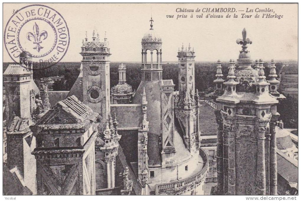 Cp , 41 , CHAMBORD , Le Château , Les Combles Vue Prise à Vol D´oiseau De La Tour De L´Horloge - Chambord