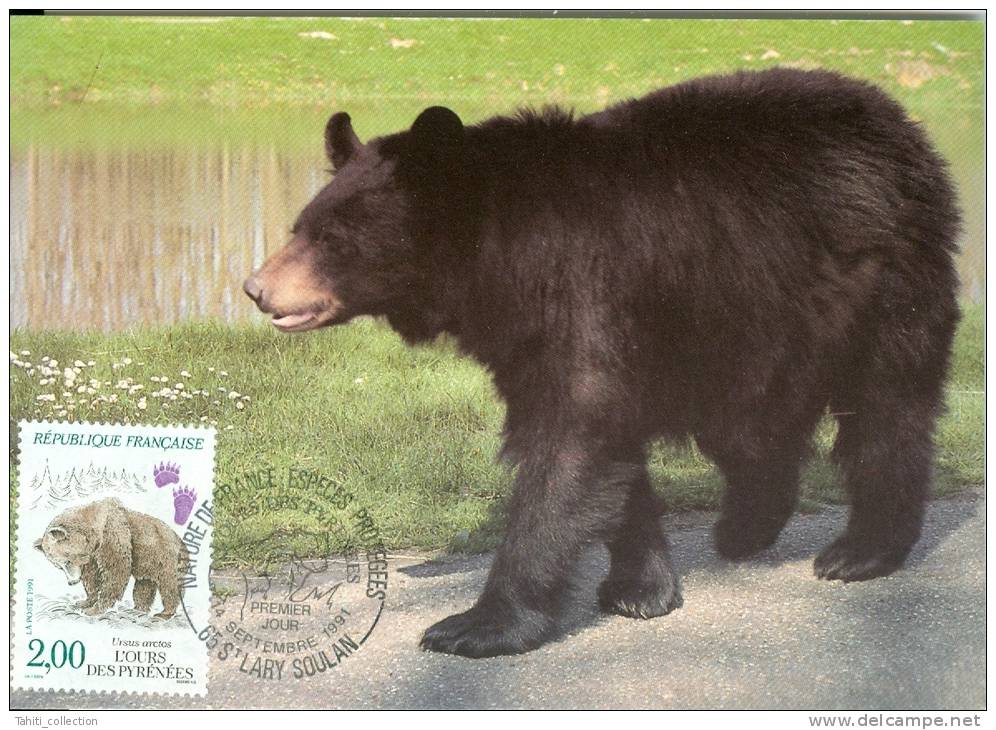 L'OURS DES PYRENEES - Ours