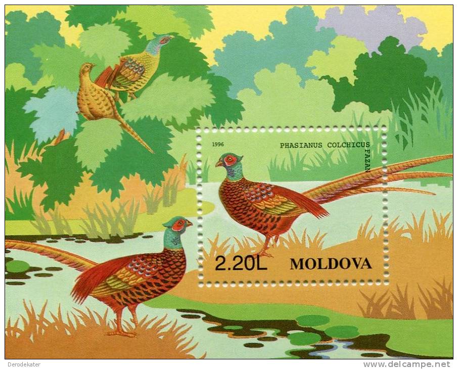 Moldova 1996.Phasianus Colchicus.Fazan.ms MNH**.Common Pheasant.Faisan De Colchide.Fasan.Fazanten.Pheasants.Birds.Oiseau - Gallinacées & Faisans