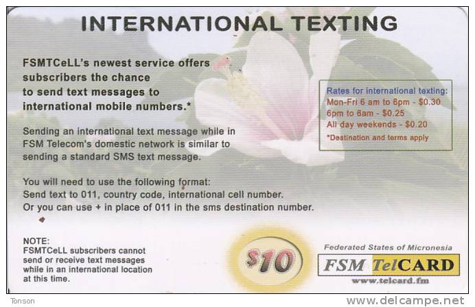 Micronesia, FSM-R-032, White Flower - International Texting, 2 Scans. - Micronesië