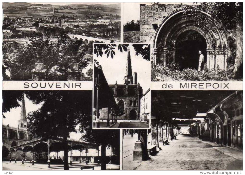 Souvenir De Mirepoix - Vue Générale - Fontaine - Cathédrale - Halle - Les Couverts - Mirepoix