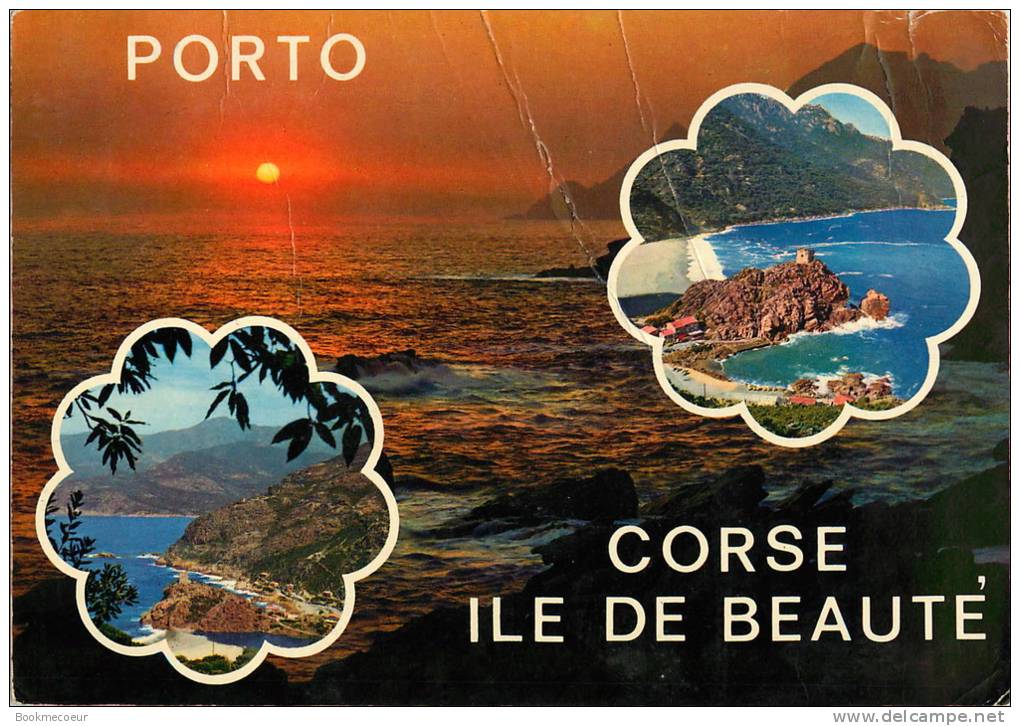 CORSE  LOT DE 4 CARTES   PORTO  LES ABORDS DU GOLFE...... - Corse