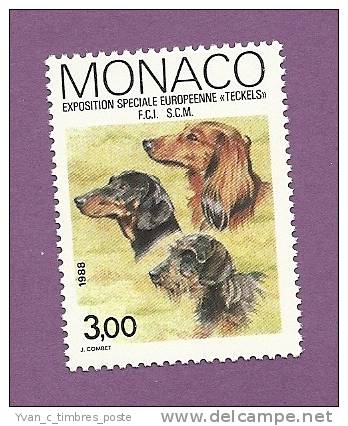 MONACO TIMBRE N° 1624 NEUF SANS CHARNIERE EXPOSITION CANINE INTERNATIONALE CHIEN LE TECKEL - Carnets