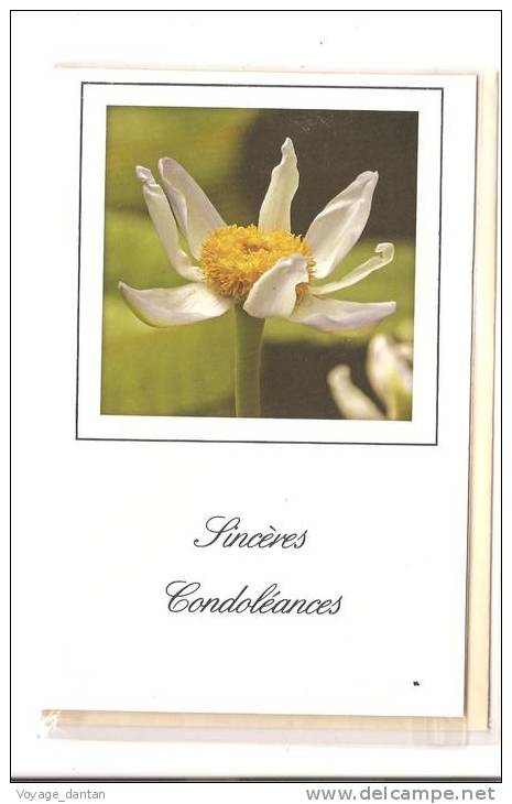 CP, Sincères Condolèances, Avec Fleur, Vierge - Funeral