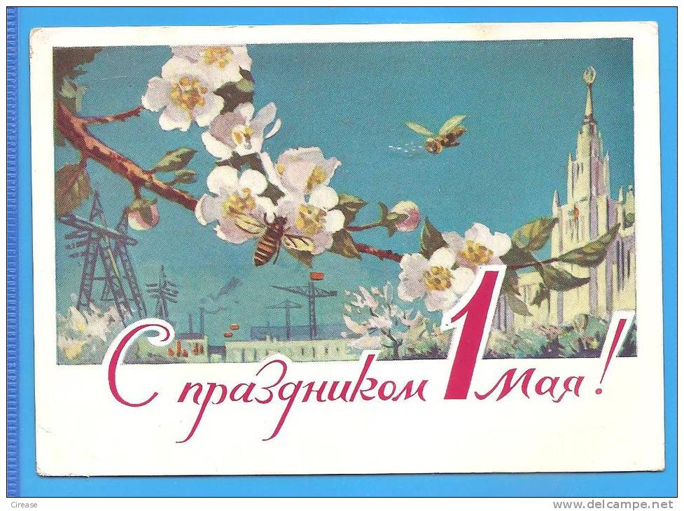 Bees, Pollination RUSSIA URSS Postal Stationery Postcard 1961, 3 Scan Very Rare - Honeybees