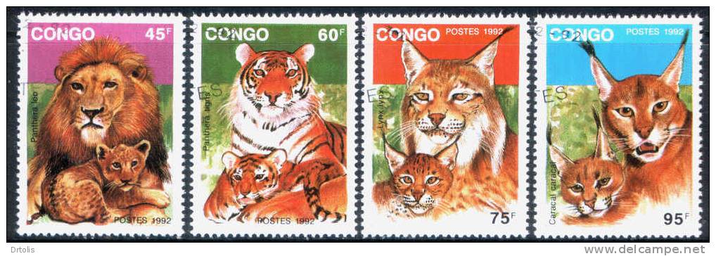 WILD CATS / CONGO / 4 VFU STAMPS  . - Big Cats (cats Of Prey)