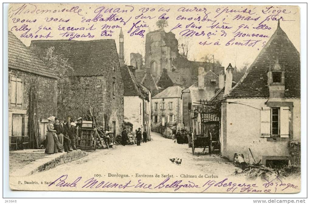 Environs De Sarlat- Château De Carlux - Autres & Non Classés