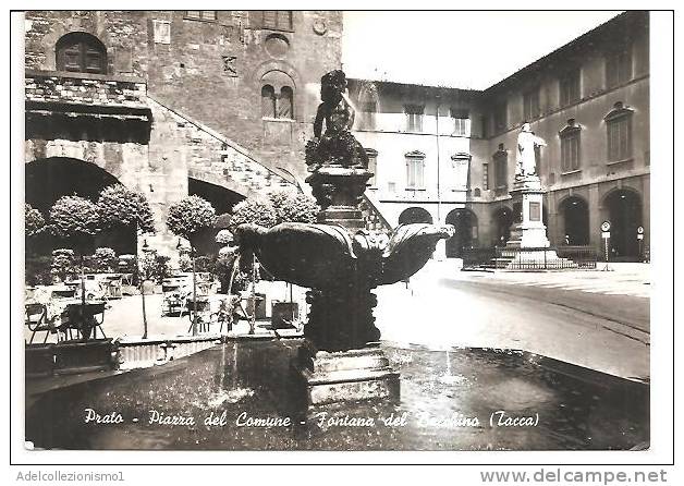 59648)cartolina Illustratoria Prato - Piazza Del Comune, Fontana Del Bacchino - Prato