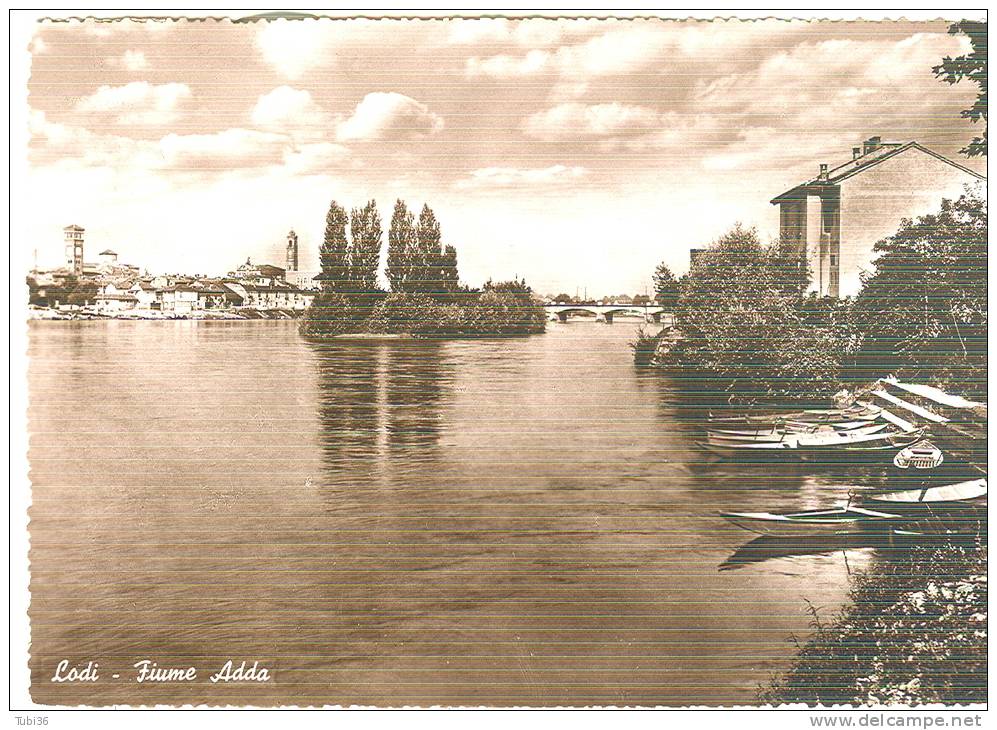 LODI - FIUME ADDA - B/N VIAGGIATA  1950 - TIMBRO POSTE  LODI  MILANO - Lodi