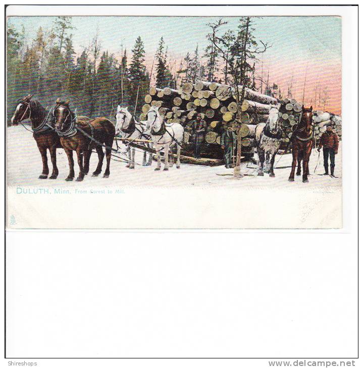 Duluth Minnisota From Forest To Mill Logging Logger Tuck No 2433 Lumber - Duluth
