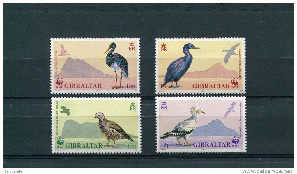 Gibraltar 1991.WWF.4v.MNH**.Endangered Birds.Oiseaux.Black Stork.Egyptian Vulture.Shag.Barbary Partridge.Aves.Vogels. - Collections, Lots & Series