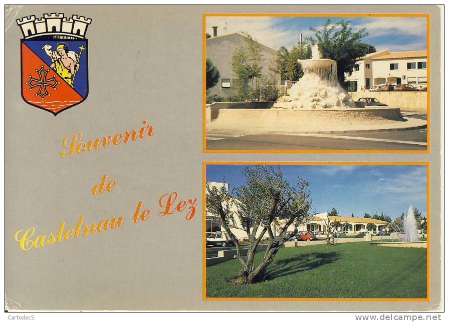 Castelnau-le-Lez    La Fontaine Et L'Ecole  Souvenir   Cpsm Format 10-15 - Castelnau Le Lez