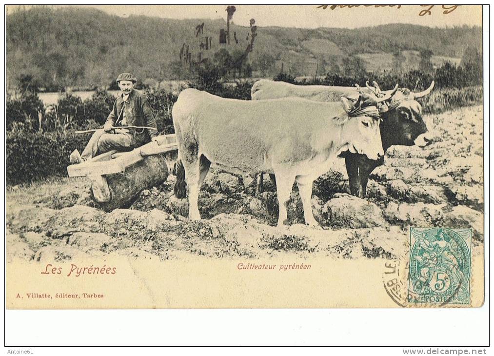 PYRENEES-- Cultivateur Pyrénéen - Aquitaine