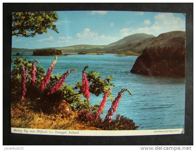 CPSM Ireland-Mulroy Bay Near Milford-Donegal  L932 - Donegal