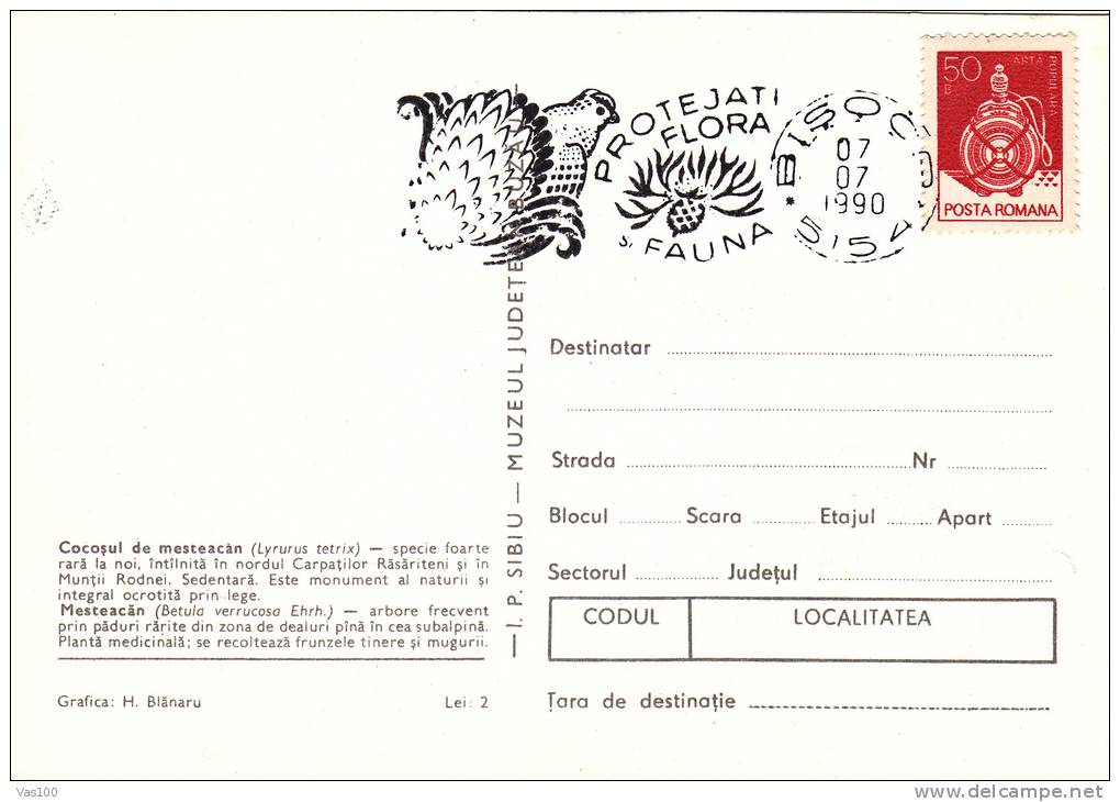 Romania 1990,CM,MAXICARD,CARTES MAXIMUM,"LYRURUS TETRIX", Cock, Rooster , Grouse . - Gallinacées & Faisans