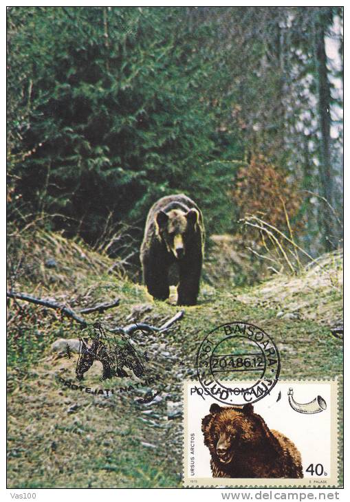 OURS,BEAR 1986,CM,MAXICARD,CARTES MAXIMUM - ROMANIA. - Bears