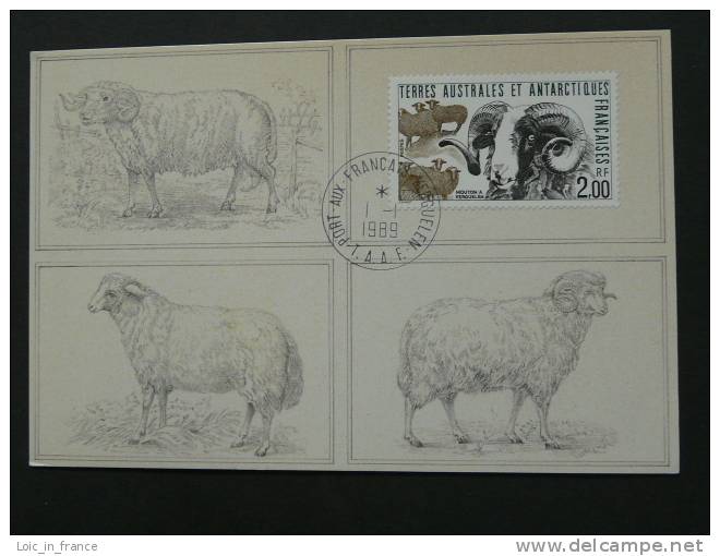 Polar Kerguelen Sheep Maximum Card FSAT 41975 - Other & Unclassified