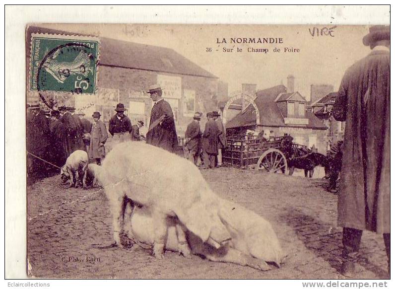 Vire      14      .Le  Marché Aux Porcs ( Attribué A Vire) - Vire