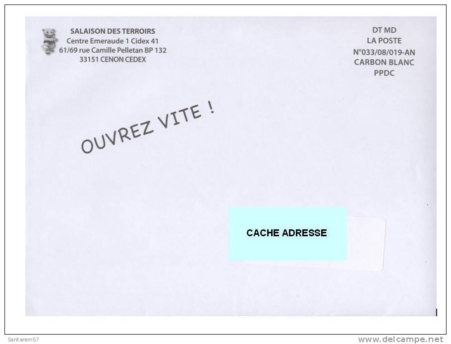 Enveloppe Envelope SALAISON DES TERROIRS 33151 CENON DESTINEO FRANCE - Brieven En Documenten