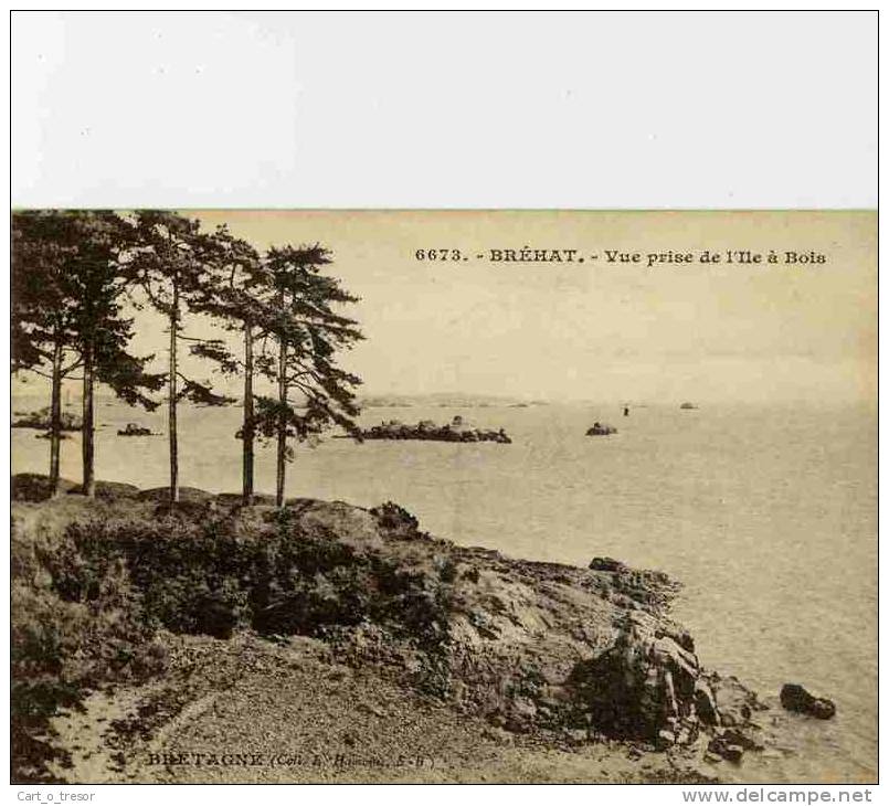 CPA 22 ILE DE BREHAT VUE PRISE DE L'ILE A BOIS - Ile De Bréhat