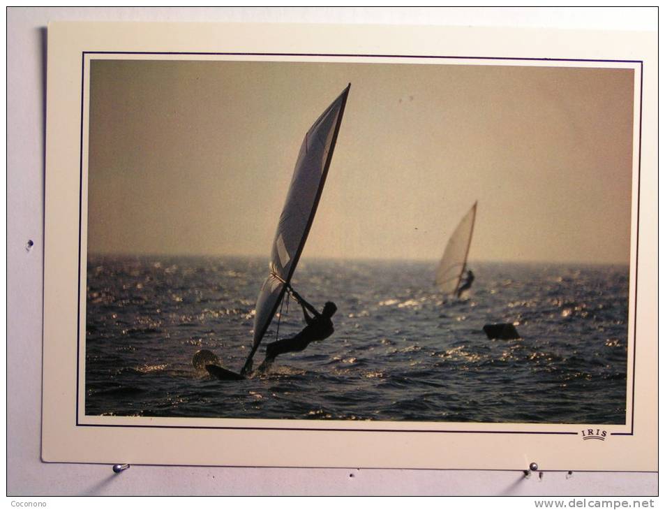 Planche à Voile - Reflets De La Normandie - Vela