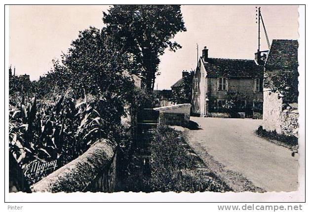 SAVIGNY LE TEMPLE - Le Pays Bas - Savigny Le Temple