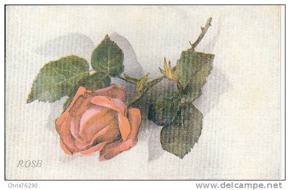 CPA Raphaël TUCK  Oilette Rose Rose Fleur Flower - Tuck, Raphael