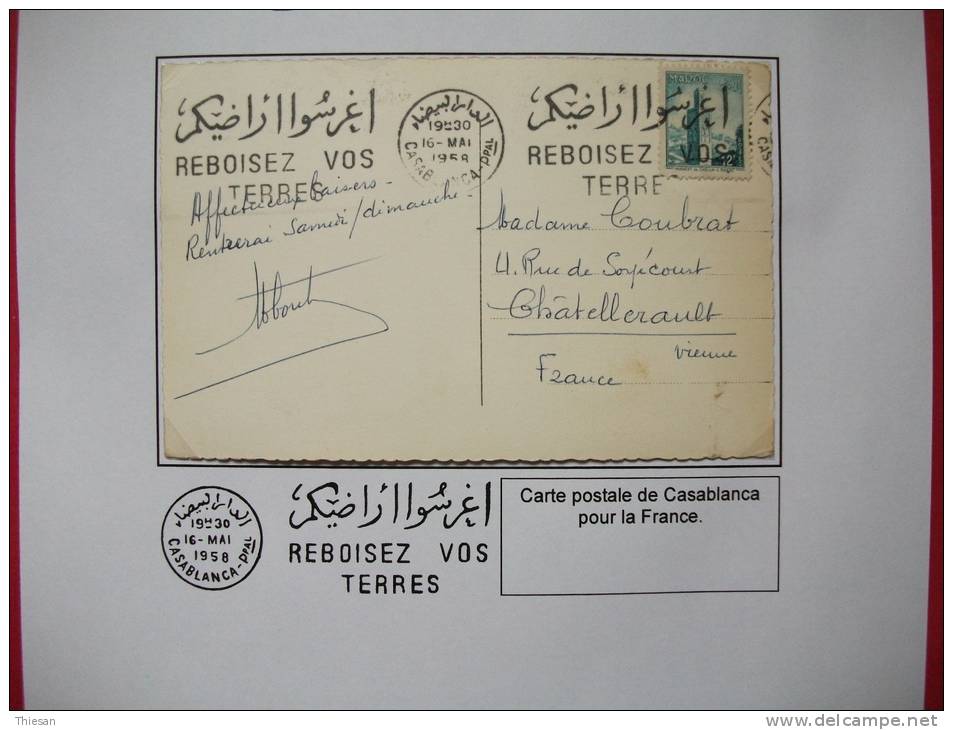 Maroc OMEC Casablanca 1958 / Carte Environnement Ecologie Reboisement Deforestation - Maroc (1956-...)