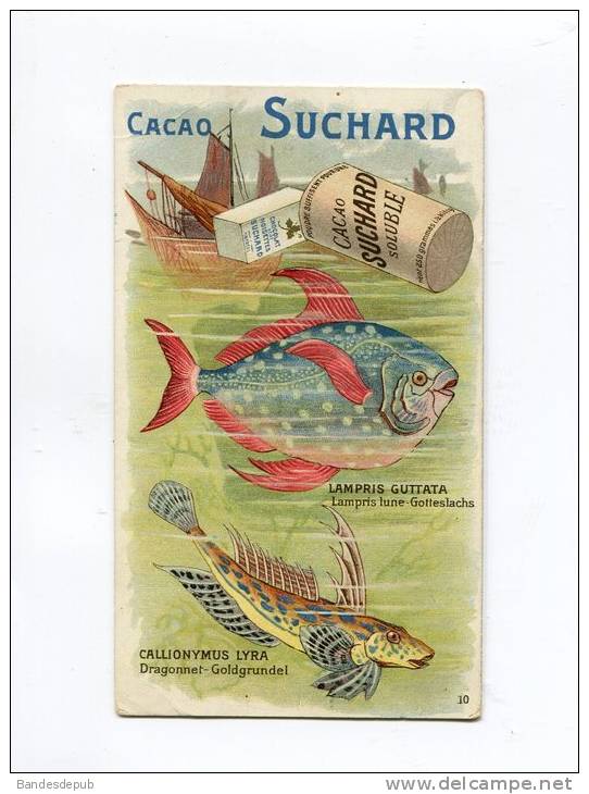 SUCHARD CHROMO  Poisson - Suchard