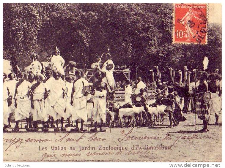 Paris...75..Jardin Zoologique Et D'acclimatation..Les Gallas: Africains Région Abbyssinie...groupe Avec Chèvres - Parchi, Giardini