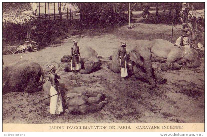 Paris...75..Jardin Zoologique Et D'acclimatation....Malabares..Caravane Indienne.....Eléphants - Parcs, Jardins