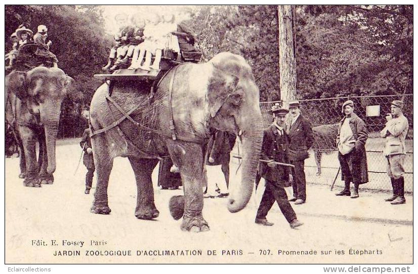 Paris...75..Jardin Zoologique Et D'acclimatation....Promenade A Dos D'Eléphants - Parcs, Jardins