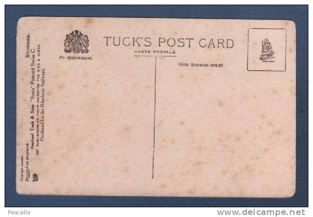 ZIMBABWE - CP ALAN WILSON MEMORIAL - MATOPOS - RAPHAEL TUCK & SONS SEPIA POSTCARD SERIES C. RHODESIA - Zimbabwe