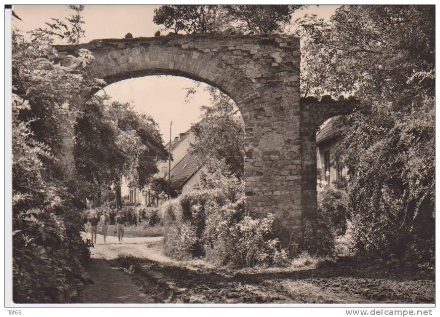 Kloster Hiddensee Klosterruine - Hiddensee