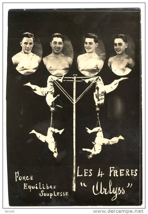 LES 4 FRERES "ARLYSS" - Cirque