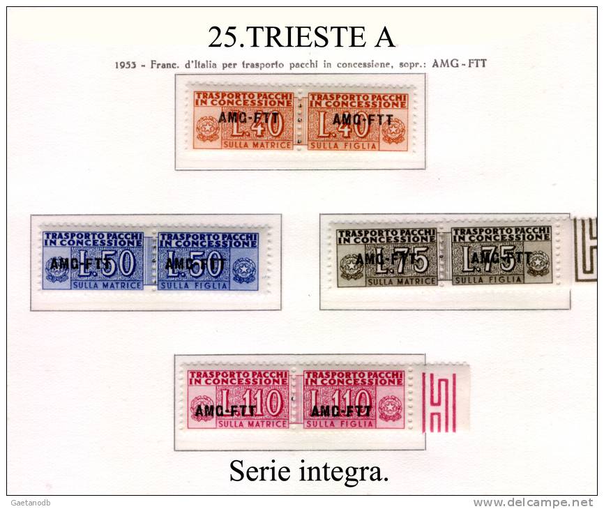 Trieste-A-F0025 - Colis Postaux/concession