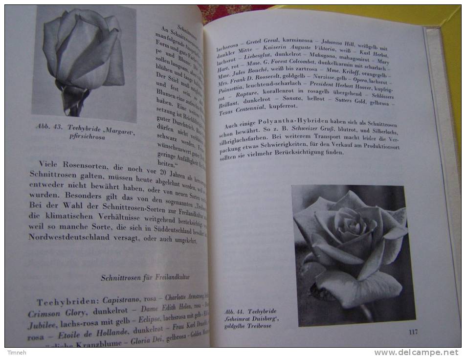 Die Rose TANTAU WEINHAUSEN - 1956 VERLAG EUGEN ULMER - Relié - 10 Farbtafeln - 46 Textabbildungen - - Natuur