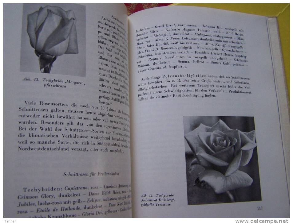 Die Rose TANTAU WEINHAUSEN - 1956 VERLAG EUGEN ULMER - Relié - 10 Farbtafeln - 46 Textabbildungen - - Botanik