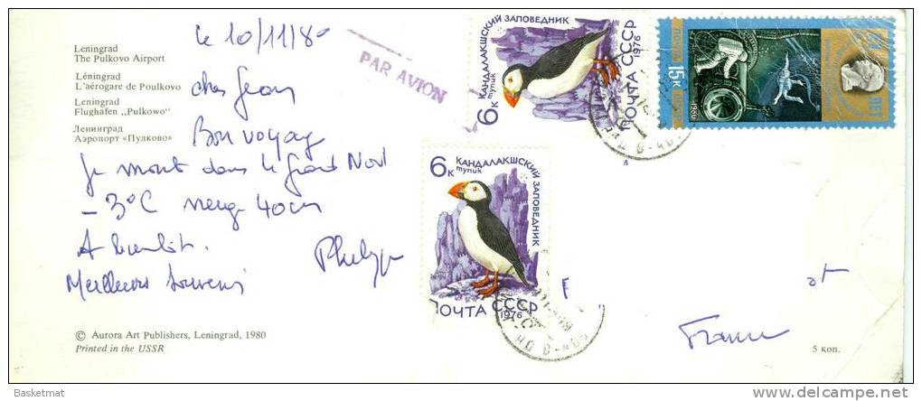 URSS CARTE TIMBRES PINGOUINS 1980 - Penguins