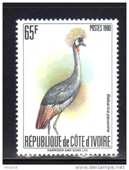 COTE D'IVOIRE  - N° 672 C  **  (1980) Oiseaux - Côte D'Ivoire (1960-...)