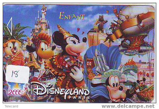 Disney FRANKRIJK  FRANCE Passeport Pasport Toegangspas (18) - Disney