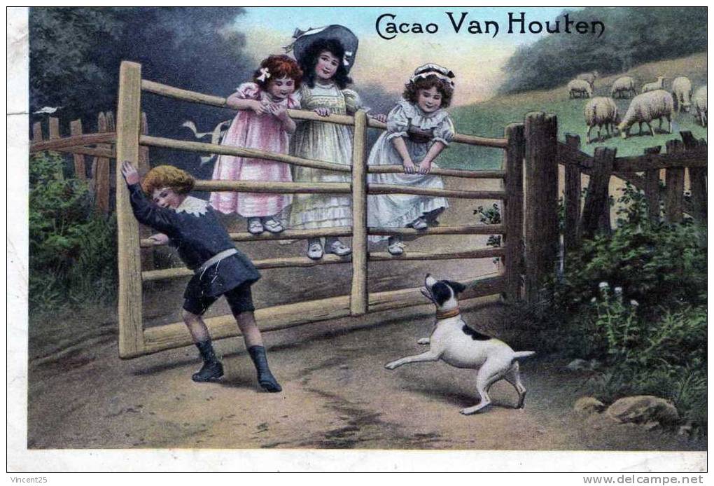 Van Houten Cacao Enfants Lot De 2 Images  Enfants Chien Chocolat  Ete Voir Scann  Boisson - Van Houten