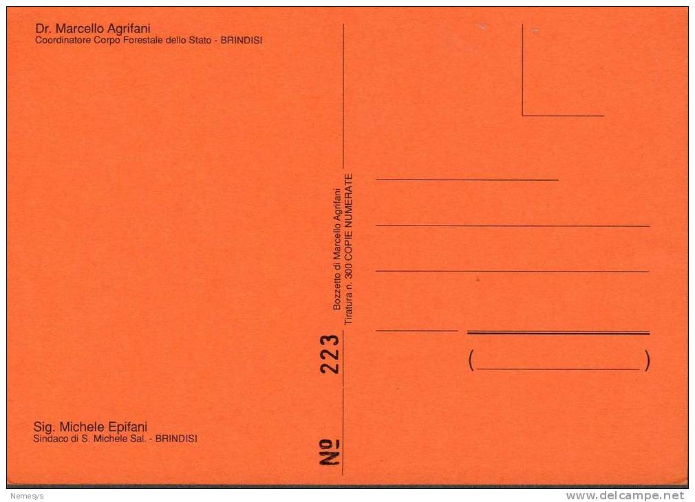 1991 CARTOLINA NUMERATA GIORNATA ECOLOGICA DIFENDI L´ALBERO CORPO FORESTALE BRINDISI 2 SCAN NV FG NATURA AMBIENTE - Brindisi